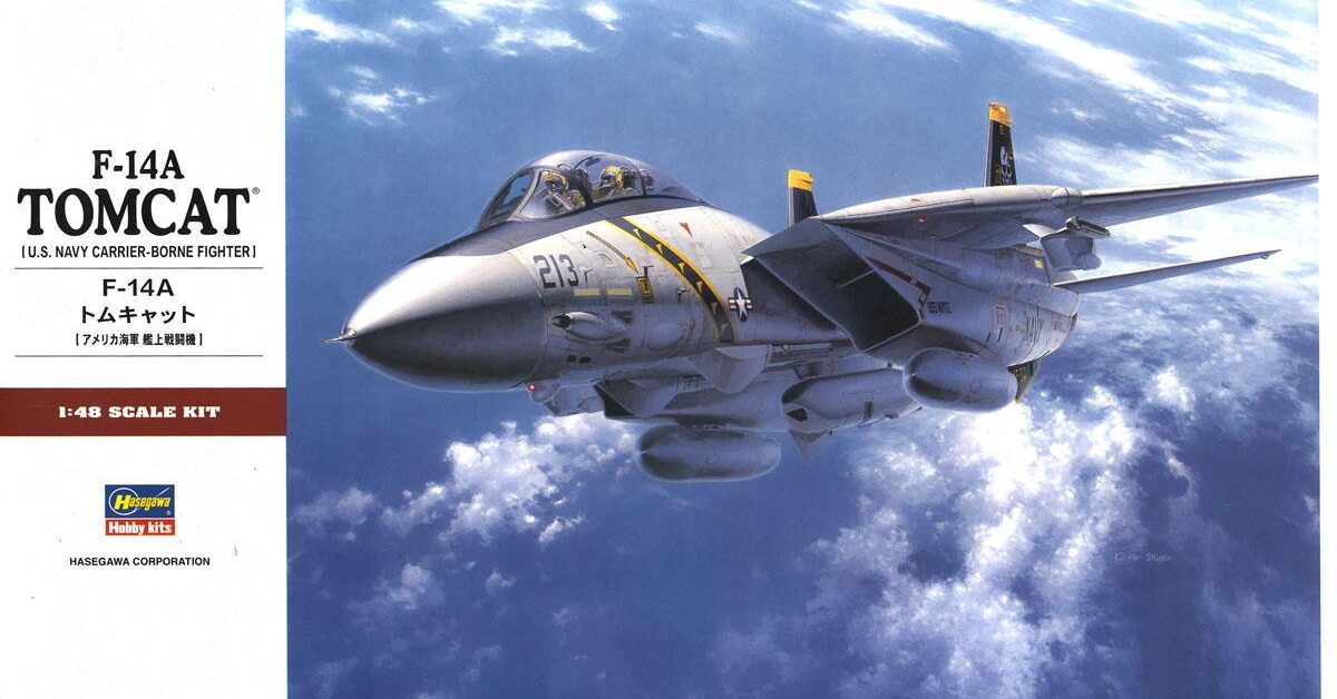 F-14 Tomcat 1/48スケールモデル Hasegawa : F-14A Tomcat : 1/48 Scale Model : In Box Review