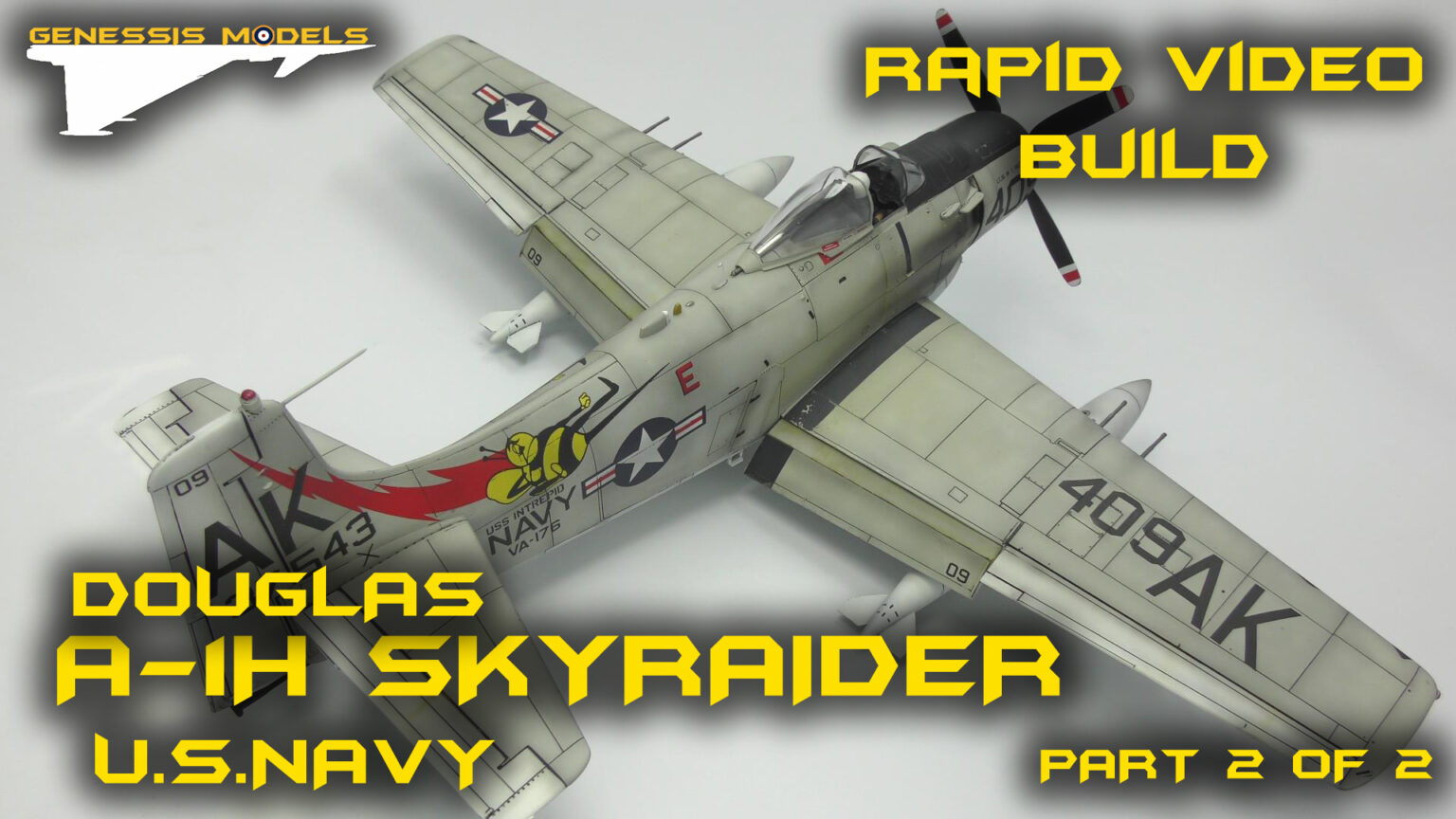 SKYRAIDER P2 TN SKYRAIDER P2 TN